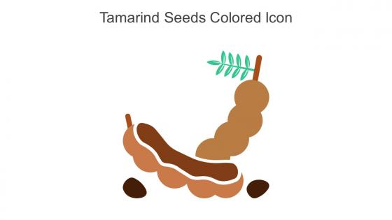 Tamarind Seeds Colored Icon In Powerpoint Pptx Png And Editable Eps Format