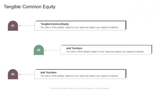 Tangible Common Equity In Powerpoint And Google Slides Cpb