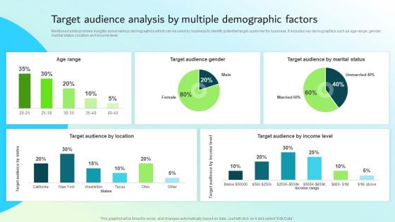 Target Audience Analysis By Multiple Demographic Factors Strategic Guide For Integrated Marketing