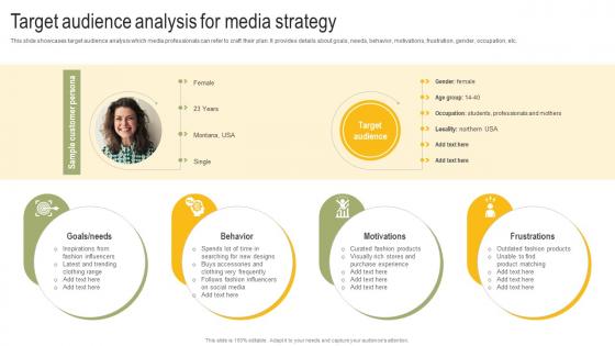 Target Audience Analysis For Media Strategy Power Your Business Promotion Strategy SS V