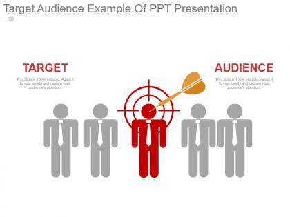 Target audience example of ppt presentation