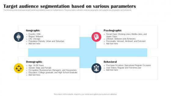 Target Audience Segmentation Based On Various Parameters Promotional Tactics To Boost Strategy SS V