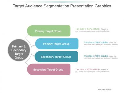 Target audience segmentation presentation graphics