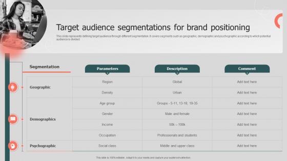Target Audience Segmentations Annual Brand Promotion Plan Branding SS V