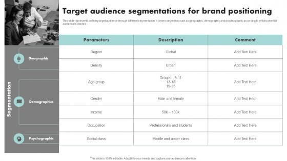 Target Audience Segmentations For Executing Brand Promotion Branding SS V