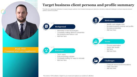 Target Business Client Persona And Profile Summary