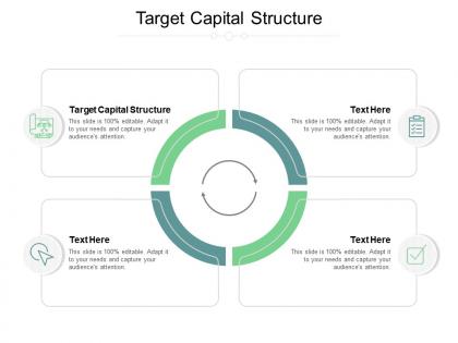 Target capital structure ppt powerpoint presentation diagram images cpb