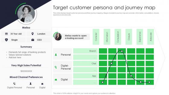 Target Customer Persona And Journey Map Driving Financial Inclusion With MFS