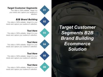 Target customer segments b2b brand building ecommerce solution cpb