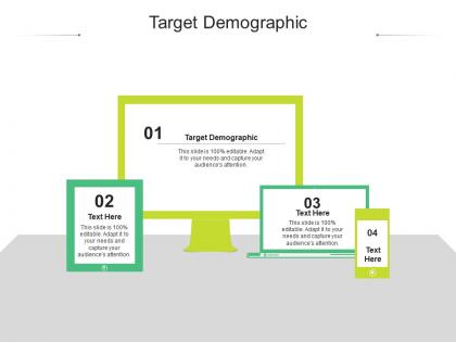 Target demographic ppt powerpoint presentation slides mockup cpb