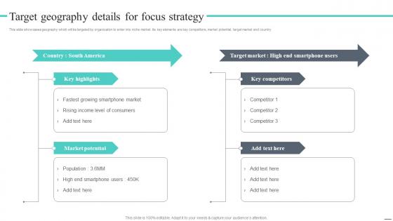 Target Geography Details For Focus Strategy Cost Leadership Strategy Offer Low Priced Products