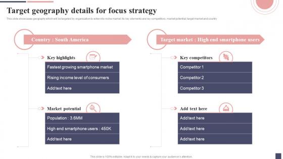 Target Geography Details For Focus Strategy Focus Strategy For Niche Market Entry