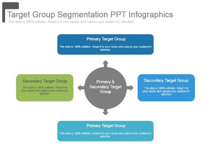 Target group segmentation ppt infographics
