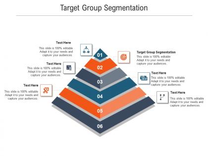 Target group segmentation ppt powerpoint presentation file show cpb