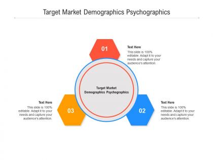 Target market demographics psychographics ppt powerpoint presentation pictures vector cpb