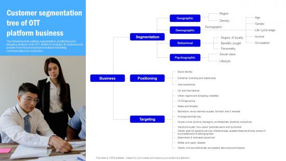 Target Market Grouping Customer Segmentation Tree Of Ott Platform Business MKT SS V