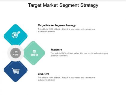 Target market segment strategy ppt powerpoint presentation icon show cpb