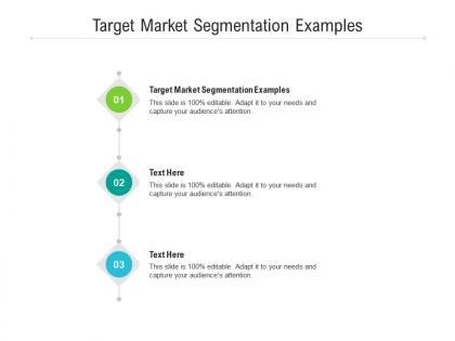 Target market segmentation examples ppt powerpoint presentation infographics design ideas cpb