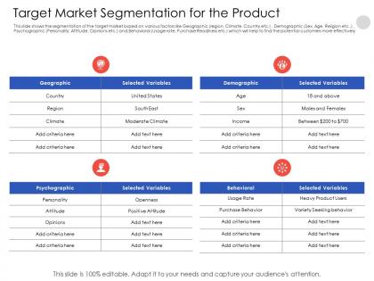 Target market segmentation for the product n555 powerpoint presentation tips
