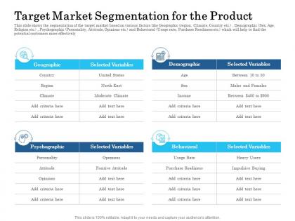 Target market segmentation for the product ppt powerpoint presentation gallery ideas