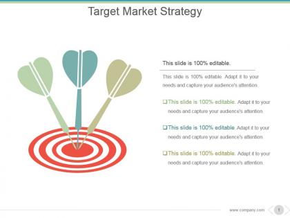 Target market strategy powerpoint slide show
