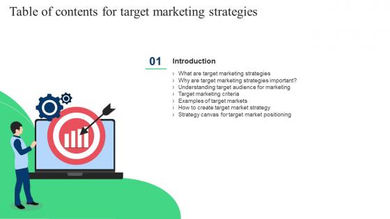 Target Marketing Strategies Table Of Contents Ppt Powerpoint Presentation Slides Design Templates