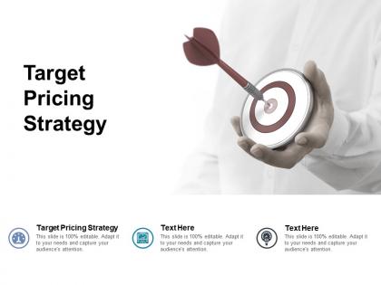 Target pricing strategy ppt powerpoint presentation summary format ideas cpb