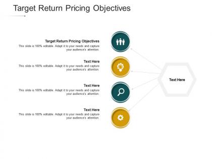Target return pricing objectives ppt powerpoint presentation show rules cpb