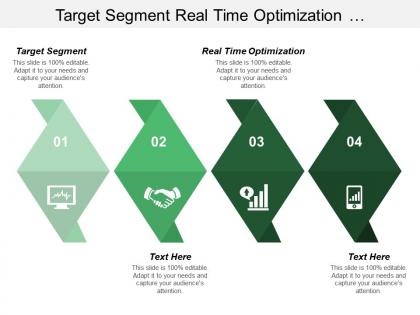 Target segment real time optimization using presenting information