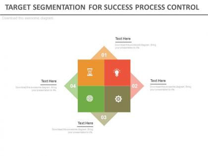 Target segmentation for success process control flat powerpoint design