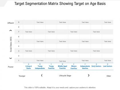 Target segmentation matrix showing target on age basis