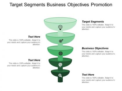 Target segments business objectives promotion strategy distribution plan