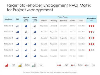 Target stakeholder engagement raci matrix for project management