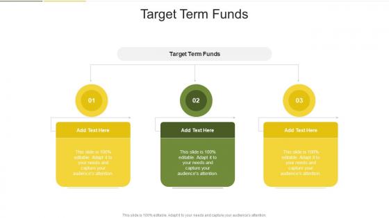 Target Term Funds In Powerpoint And Google Slides Cpb