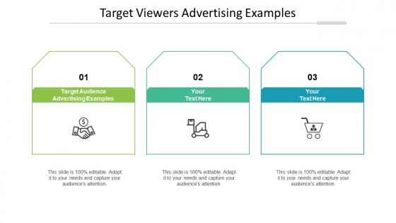 Target Viewers Advertising Examples Ppt Powerpoint Presentation Infographic Cpb