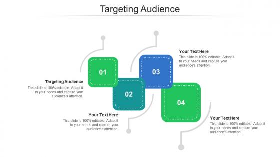 Targeting audience ppt powerpoint presentation pictures slides cpb