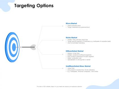 Targeting options micro market ppt powerpoint presentation examples
