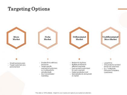 Targeting options ppt powerpoint presentation slides designs download