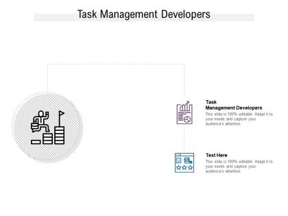 Task management developers ppt powerpoint presentation file graphics design cpb
