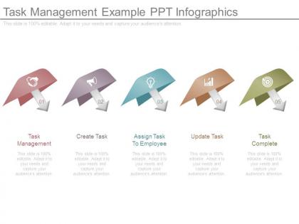 Task management example ppt infographics