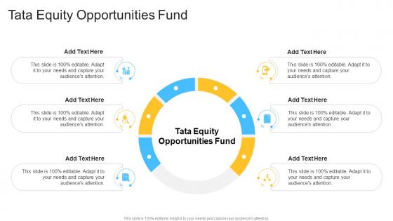 Tata Equity Opportunities Fund In Powerpoint And Google Slides Cpb