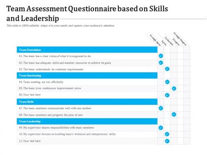 Team assessment questionnaire based on skills and leadership