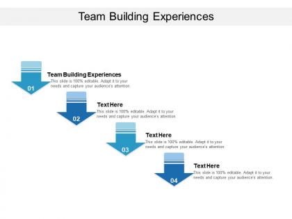 Team building experiences ppt powerpoint presentation layouts portrait cpb