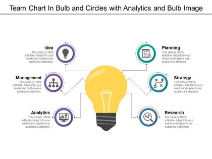 Team chart in bulb and circles with analytics and bulb image
