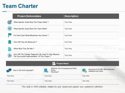 Team charter ppt professional infographic template