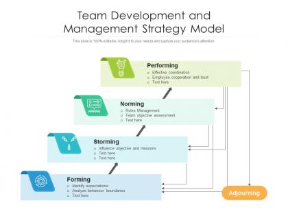 Team development and management strategy model