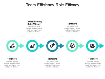 Team efficiency role efficacy ppt powerpoint presentation styles visuals cpb