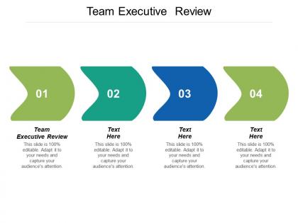 Team executive review ppt powerpoint presentation infographics slide download cpb