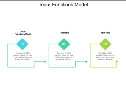 Team functions model ppt powerpoint presentation outline cpb