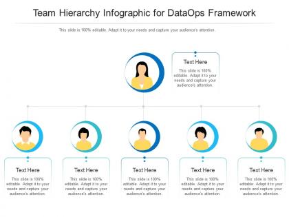 Team hierarchy for dataops framework infographic template